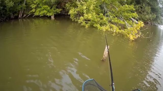 ловля на боковой кивок малышок смотреть онлайн