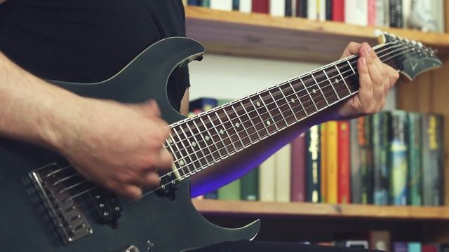 The Sleeper - Coven - GUITAR / BASS PLAYTHROUGH смотреть онлайн