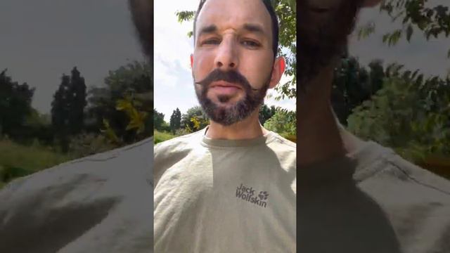 Jez Rose's | Garden | Renovation Update смотреть онлайн