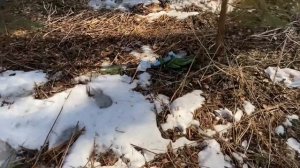 Rush Hour XS925 первые впечатления