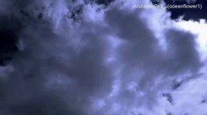 BERNWARD KOCH - Back to Myself