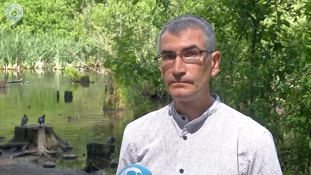 Новосибирский природоохранный проект получит грант от Русского географического общества смотреть онлайн