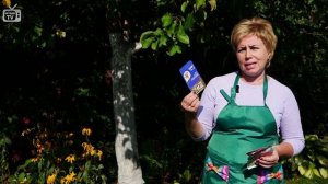 Обработка сада осенью от вредителей и болезней ✅ Скор ✅ Карбофос ✅ Зубр