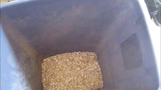 REQUESTED: How to Setup a Hamster Cage + More Holle's Cage смотреть онлайн