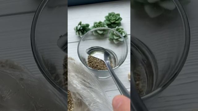 Ароматное украшение для дома из вермикулита и мыльных суккулентов смотреть онлайн