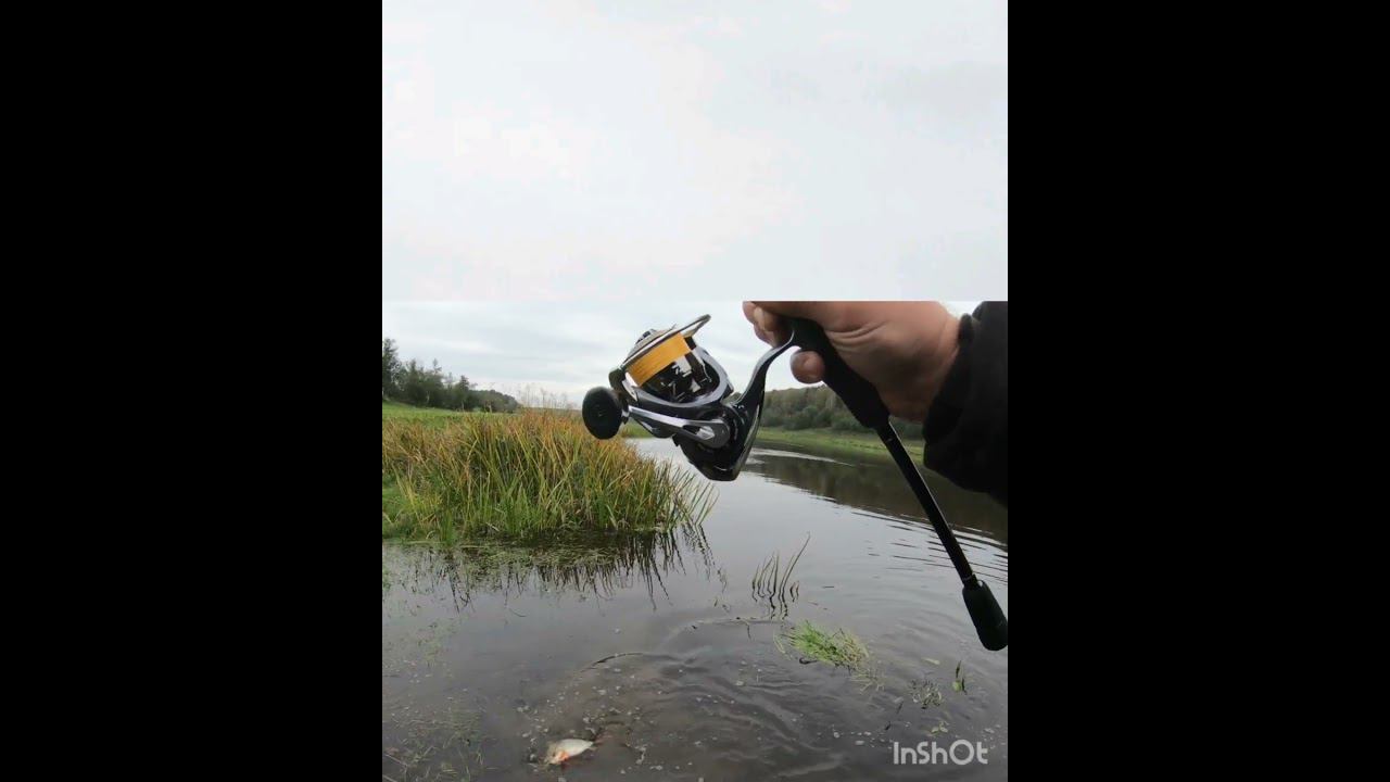 Трофейный окунь #микроджиг смотреть онлайн