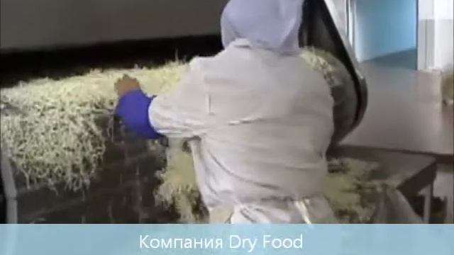 Автоматическая линия сушки.wmv смотреть онлайн