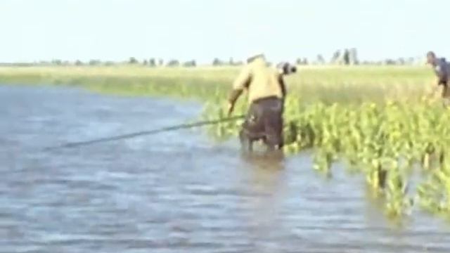 рыбак! Смотреть до конца! смотреть онлайн