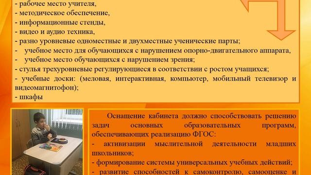Вебинар "Создание предметной среды в кабинетах образовательной организации для учащихся с УО" смотреть онлайн