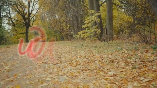 ИДИ В КРАСОТУ.../стих-ЭКСПРОМТ/ автор Надя Шварц смотреть онлайн