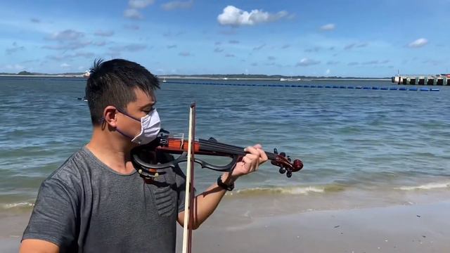 Auld Lang Sai (short Version) Violin Cover