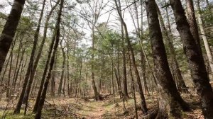 На Беневской водопад (Приморский край, Лазовский район) апрель 2023