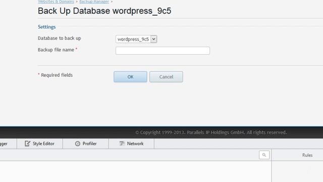 bug in Parallels Plesk | backup and Download any database from Parallels Plesk смотреть онлайн
