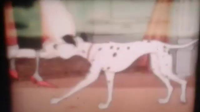 101 Dalmatians 1961 "Cruella De Vil" in Super 8mm Film Derann Projection смотреть онлайн