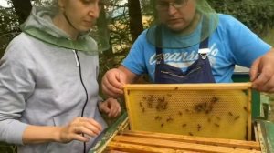 Пчеловодство в Германии Серия 1 Часть 2