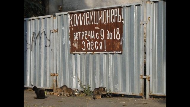 Коллекционер сим карт | Как разговаривать с коллекторами по телефону смотреть онлайн