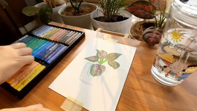 Aglaonema Plant Drawing using Oil Pastel смотреть онлайн