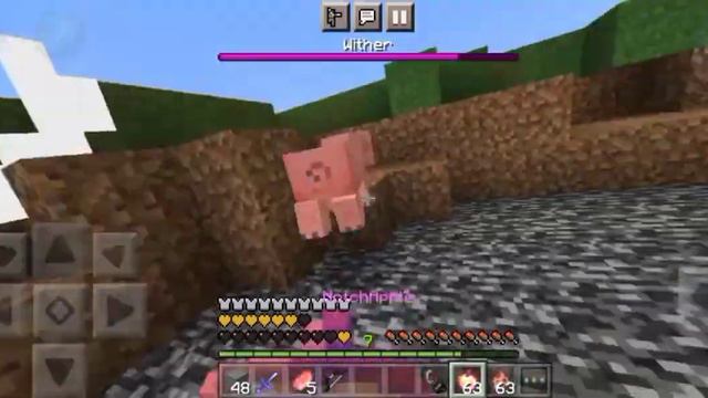 These are some weird minecraft mobs!! ( NBT Editor hacks ) смотреть онлайн