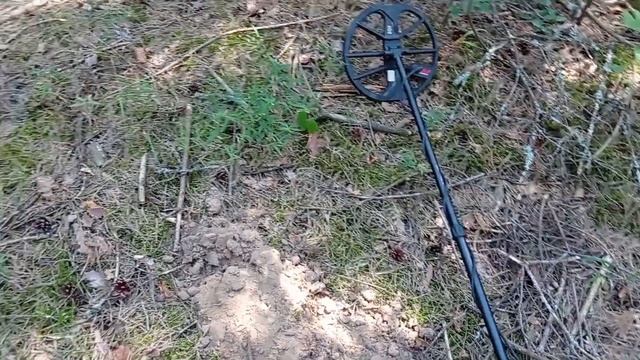 Коп В Лесу Серебрянная монета. смотреть онлайн
