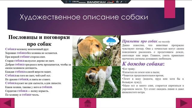 создание итогового проекта по информатике за курс 6 класса смотреть онлайн