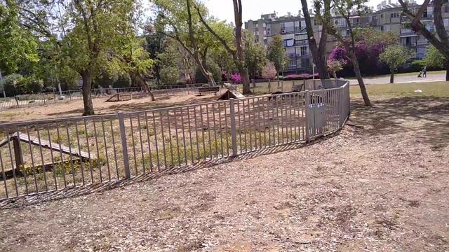 Безумный Зоолог о собачьих загонах. Уиппет Декстер смотреть онлайн