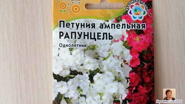 Vlog: Моя рассада 2019 (Петуния, лобелия, виола, земляника, томаты...) смотреть онлайн