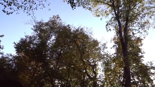КАК ПРОВЕСТИ ЭТУ ОСЕНЬ ??? ПОКУПКИ ДЛЯ ДОМА, СВЕЧИ , ПАРФЮМ , УЮТ ? смотреть онлайн