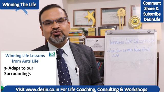 5 Winning Life Lessons from Ants Life | Life Learning from Ants | Winning The Life смотреть онлайн