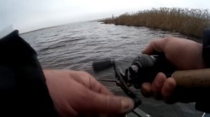 Испытания Воблера ORBIT 110SP GROWS CULTURE. Ч.2.