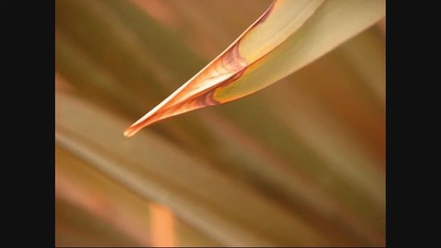 Canon S3 IS HD Quality Test