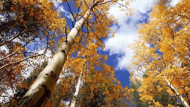 Музыка для Лечебная Снятия Стресса, Усталости, Депресии, Негатива, Детокс негативных эмоций #15 смотреть онлайн