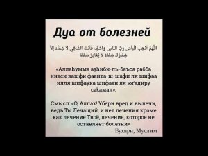 Дуа избавит от боли в любом месте в вашем теле#СлушайКоран