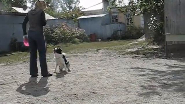 Forfis Vanil.wmv смотреть онлайн