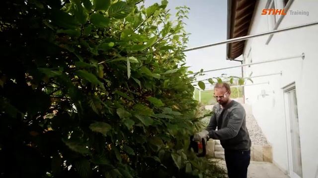 Аккумуляторные мотоножницы STIHL HSA 45 смотреть онлайн