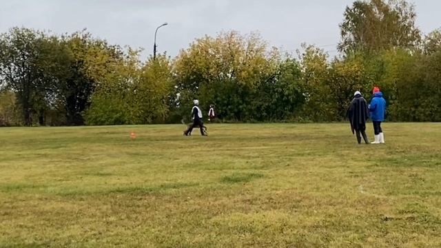 Локи в Созвездии Лун BH смотреть онлайн