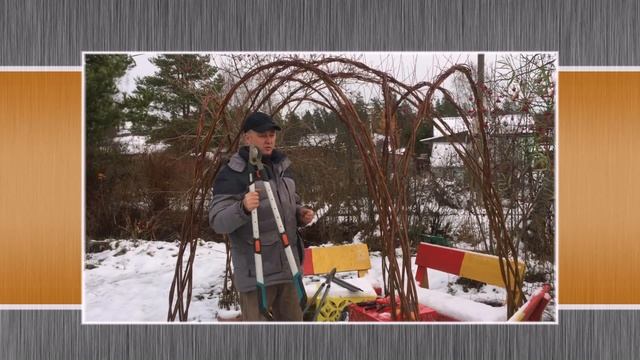 ПАВИВА Секатор садовый как выбрать? для обрезки живых конструкций из ивы, изгородь,беседка,деревья смотреть онлайн