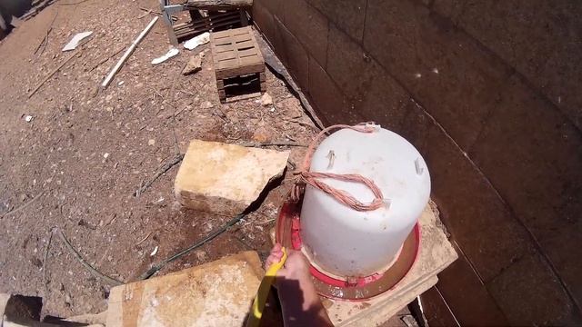 Кормление уток улитками смотреть онлайн