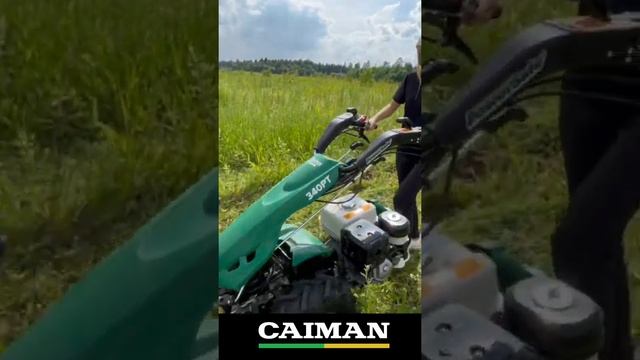 Мотоблок бензиновый Caiman 340PT смотреть онлайн