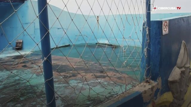 Paseo por el Acuario Nacional de Cuba смотреть онлайн