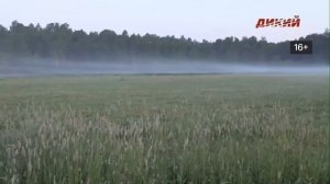 Переключение каналов (Ростелеком, 14.01.2021)