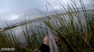 Охота на утку с чучелами + Рецепт дикой утки. Охота на утку осенью