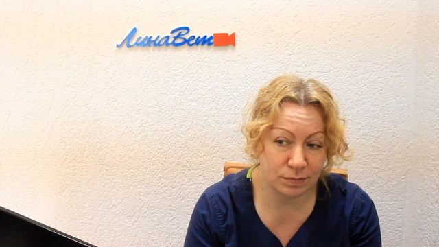 Чем болеет лабрадор? Породные болезни. смотреть онлайн