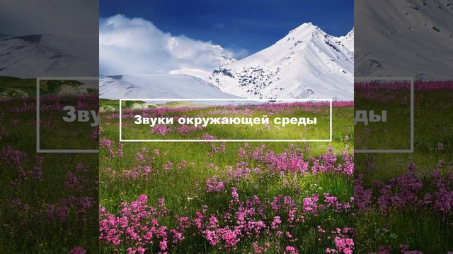 Страхи леса Звуки природы смотреть онлайн