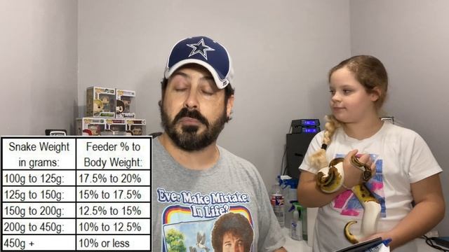 BALL PYTHON FEEDING VIDEO: How to choose the proper feeder size a scientific approach! смотреть онлайн