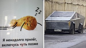 Фото подписчиков Фактории (185 часть)