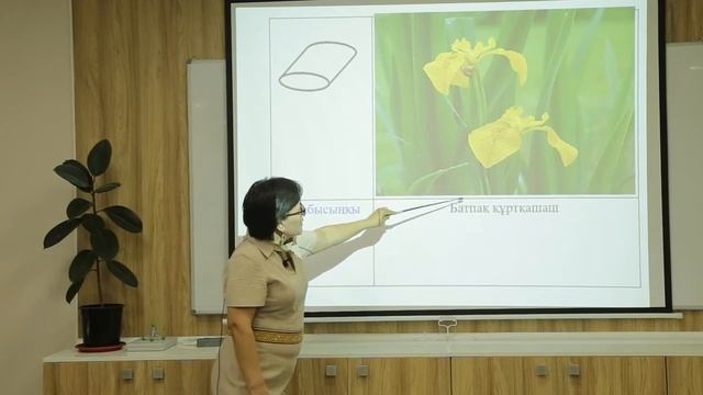 Байкенжеева А.Т. Сабақтың морфологиясы смотреть онлайн