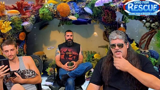 Stay Fishy Friday Livestream 06/11//21 смотреть онлайн