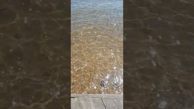 (Алтай)Яровое, солёное озеро. смотреть онлайн