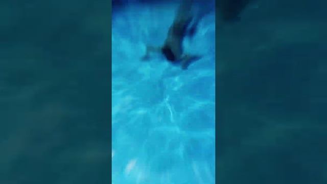 термы в экопарке Поляны под Рязанью: куча саун, открытый бассейн, японская бочка, джакузи ... смотреть онлайн