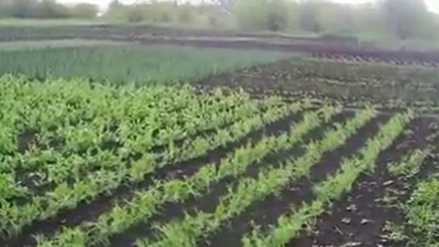 Здоровье ???!!! Все таки СУЩЕСТВУЕТ !!! 1 часть смотреть онлайн